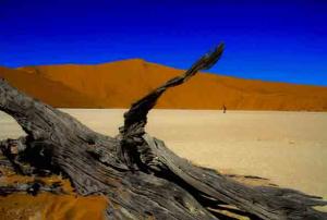 Peter Pickelmann-Sosusvlei Namibia