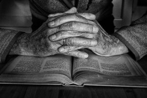 NueFo: Bild des Monats 2025.11.21