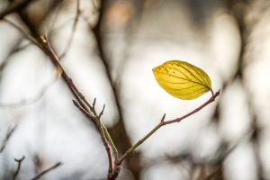 Platz: 10 Herbert R.