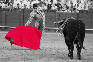 NueFo: Bild des Monats 2025.12.12