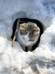 Platz 9.1 Wolfgang N.